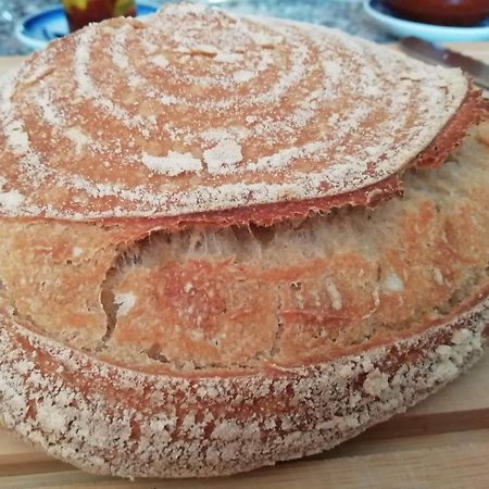 Sorbas Bed & Breakfast Alegria Y Luna Bed & Breakfast エクステリア 写真