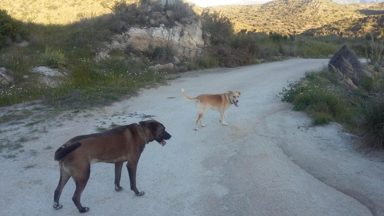 Sorbas Bed & Breakfast Alegria Y Luna Bed & Breakfast エクステリア 写真
