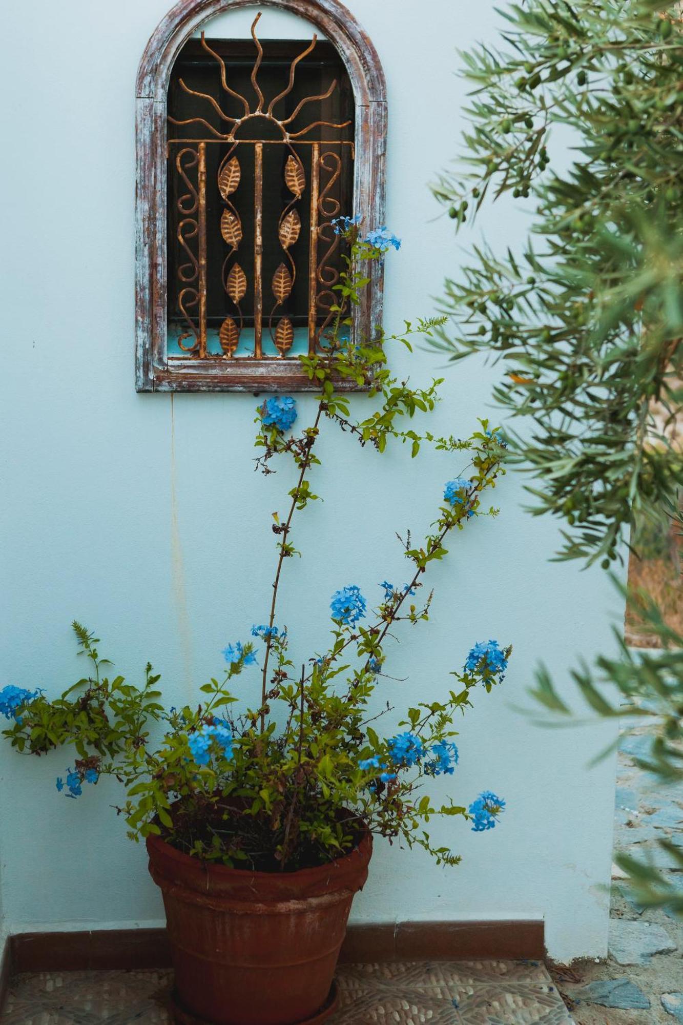Sorbas Bed & Breakfast Alegria Y Luna Bed & Breakfast エクステリア 写真